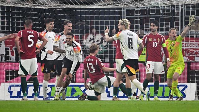 1732092731892019876.jpeg 1732092731892019876.jpeg